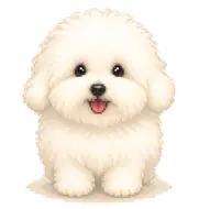 Mochi